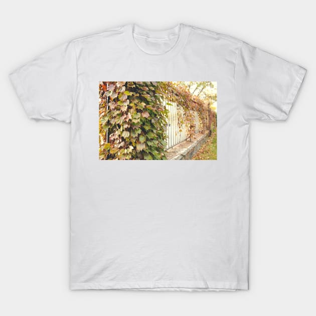 Grape Vines T-Shirt by wlotus